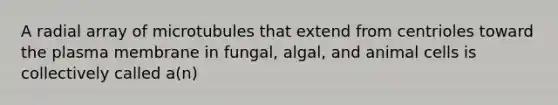 A radial array of microtubules that extend from centrioles toward the plasma membrane in fungal, algal, and animal cells is collectively called a(n)