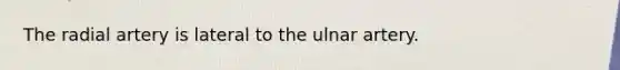 The radial artery is lateral to the ulnar artery.