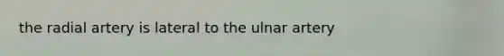 the radial artery is lateral to the ulnar artery