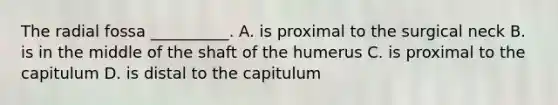 The radial fossa __________. A. is proximal to the surgical neck B. is in the middle of the shaft of the humerus C. is proximal to the capitulum D. is distal to the capitulum