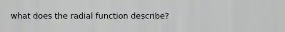 what does the radial function describe?