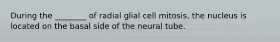 During the ________ of radial glial cell mitosis, the nucleus is located on the basal side of the neural tube.