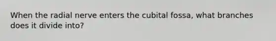 When the radial nerve enters the cubital fossa, what branches does it divide into?