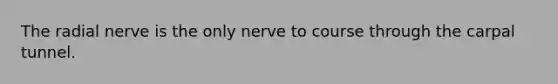 The radial nerve is the only nerve to course through the carpal tunnel.