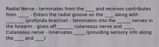 Radial Nerve - terminates from the ____ and receives contributes from _____ - Enters the radial groove on the ____ along with ________ (profunda brachial) - terminates into the ______ nerves in the forearm - gives off _______ cutaneous nerve and _____ Cutaneous nerve - innervates _____ (providing sensory info along the ____ and ____)