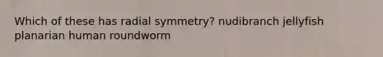 Which of these has radial symmetry? nudibranch jellyfish planarian human roundworm