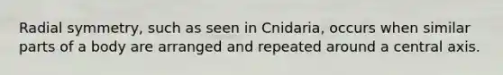 Radial symmetry, such as seen in Cnidaria, occurs when similar parts of a body are arranged and repeated around a central axis.