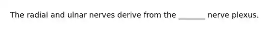 The radial and ulnar nerves derive from the _______ nerve plexus.