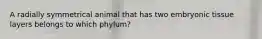 A radially symmetrical animal that has two embryonic tissue layers belongs to which phylum?