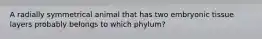 A radially symmetrical animal that has two embryonic tissue layers probably belongs to which phylum?