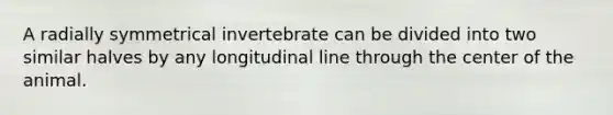 A radially symmetrical invertebrate can be divided into two similar halves by any longitudinal line through the center of the animal.