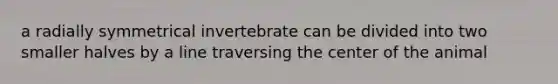 a radially symmetrical invertebrate can be divided into two smaller halves by a line traversing the center of the animal