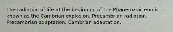 The radiation of life at the beginning of the Phanerozoic eon is known as the Cambrian explosion. Precambrian radiation. Precambrian adaptation. Cambrian adaptation.