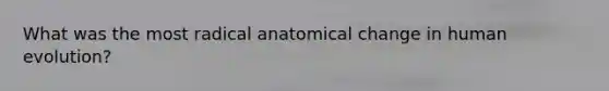 What was the most radical anatomical change in human evolution?