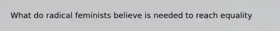 What do radical feminists believe is needed to reach equality