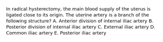 In radical hysterectomy, the main blood supply of the uterus is ligated close to its origin. The uterine artery is a branch of the following structure? A. Anterior division of internal iliac artery B. Posterior division of internal iliac artery C. External iliac artery D. Common iliac artery E. Posterior iliac artery