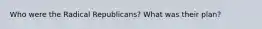 Who were the Radical Republicans? What was their plan?