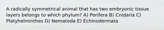 A radically symmetrical animal that has two embryonic tissue layers belongs to which phylum? A) Porifera B) Cnidaria C) Platyhelminthes D) Nematoda E) Echinodermata