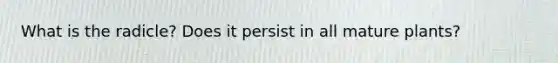 What is the radicle? Does it persist in all mature plants?
