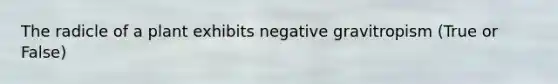 The radicle of a plant exhibits negative gravitropism (True or False)