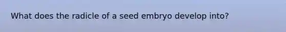 What does the radicle of a seed embryo develop into?