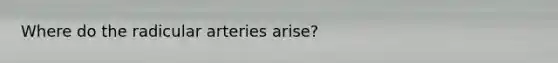 Where do the radicular arteries arise?