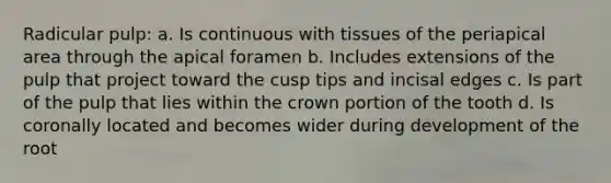 Radicular pulp: a. Is continuous with tissues of the periapical area through the apical foramen b. Includes extensions of the pulp that project toward the cusp tips and incisal edges c. Is part of the pulp that lies within the crown portion of the tooth d. Is coronally located and becomes wider during development of the root