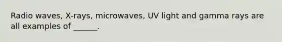 Radio waves, X-rays, microwaves, UV light and gamma rays are all examples of ______.