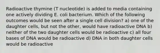 Radioactive thymine (T nucleotide) is added to media containing one actively dividing E. coli bacterium. Which of the following outcomes would be seen after a single cell division? a) one of the daughter cells, but not the other, would have radioactive DNA b) neither of the two daughter cells would be radioactive c) all four bases of DNA would be radioactive d) DNA in both daughter cells would be radioactive