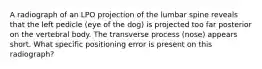 A radiograph of an LPO projection of the lumbar spine reveals that the left pedicle (eye of the dog) is projected too far posterior on the vertebral body. The transverse process (nose) appears short. What specific positioning error is present on this radiograph?