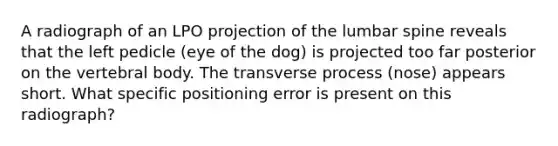 A radiograph of an LPO projection of the lumbar spine reveals that the left pedicle (eye of the dog) is projected too far posterior on the vertebral body. The transverse process (nose) appears short. What specific positioning error is present on this radiograph?