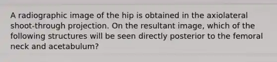 A radiographic image of the hip is obtained in the axiolateral shoot-through projection. On the resultant image, which of the following structures will be seen directly posterior to the femoral neck and acetabulum?