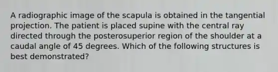 A radiographic image of the scapula is obtained in the tangential projection. The patient is placed supine with the central ray directed through the posterosuperior region of the shoulder at a caudal angle of 45 degrees. Which of the following structures is best demonstrated?