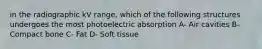 in the radiographic kV range, which of the following structures undergoes the most photoelectric absorption A- Air cavities B- Compact bone C- Fat D- Soft tissue