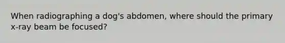 When radiographing a dog's abdomen, where should the primary x-ray beam be focused?