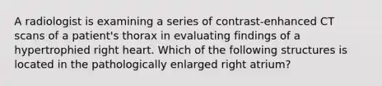 A radiologist is examining a series of contrast-enhanced CT scans of a patient's thorax in evaluating findings of a hypertrophied right heart. Which of the following structures is located in the pathologically enlarged right atrium?