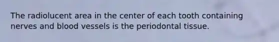 The radiolucent area in the center of each tooth containing nerves and blood vessels is the periodontal tissue.