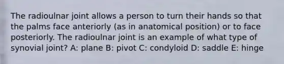 The radioulnar joint allows a person to turn their hands so that the palms face anteriorly (as in anatomical position) or to face posteriorly. The radioulnar joint is an example of what type of synovial joint? A: plane B: pivot C: condyloid D: saddle E: hinge