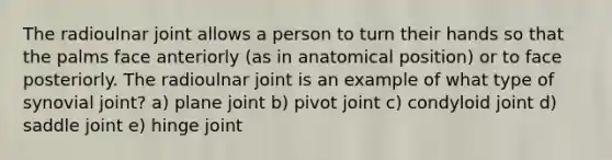 The radioulnar joint allows a person to turn their hands so that the palms face anteriorly (as in anatomical position) or to face posteriorly. The radioulnar joint is an example of what type of synovial joint? a) plane joint b) pivot joint c) condyloid joint d) saddle joint e) hinge joint