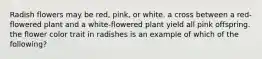 Radish flowers may be red, pink, or white. a cross between a red-flowered plant and a white-flowered plant yield all pink offspring. the flower color trait in radishes is an example of which of the following?