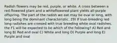 Radish flowers may be red, purple, or white. A cross between a red-flowered plant and a whiteflowered plant yields all-purple offspring. The part of the radish we eat may be oval or long, with long being the dominant characteristic. 29) If true-breeding red long radishes are crossed with true breeding white oval radishes, the F1 will be expected to be which of the following? A) Red and long B) Red and oval C) White and long D) Purple and long E) Purple and oval