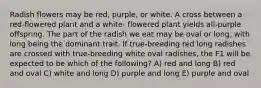 Radish flowers may be red, purple, or white. A cross between a red-flowered plant and a white- flowered plant yields all-purple offspring. The part of the radish we eat may be oval or long, with long being the dominant trait. If true-breeding red long radishes are crossed with true-breeding white oval radishes, the F1 will be expected to be which of the following? A) red and long B) red and oval C) white and long D) purple and long E) purple and oval