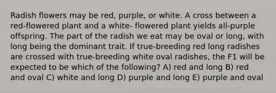 Radish flowers may be red, purple, or white. A cross between a red-flowered plant and a white- flowered plant yields all-purple offspring. The part of the radish we eat may be oval or long, with long being the dominant trait. If true-breeding red long radishes are crossed with true-breeding white oval radishes, the F1 will be expected to be which of the following? A) red and long B) red and oval C) white and long D) purple and long E) purple and oval