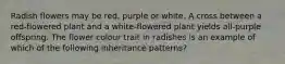 Radish flowers may be red, purple or white. A cross between a red-flowered plant and a white-flowered plant yields all-purple offspring. The flower colour trait in radishes is an example of which of the following inheritance patterns?