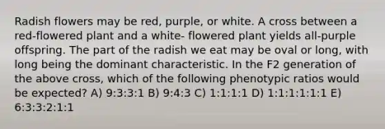 Radish flowers may be red, purple, or white. A cross between a red-flowered plant and a white- flowered plant yields all-purple offspring. The part of the radish we eat may be oval or long, with long being the dominant characteristic. In the F2 generation of the above cross, which of the following phenotypic ratios would be expected? A) 9:3:3:1 B) 9:4:3 C) 1:1:1:1 D) 1:1:1:1:1:1 E) 6:3:3:2:1:1