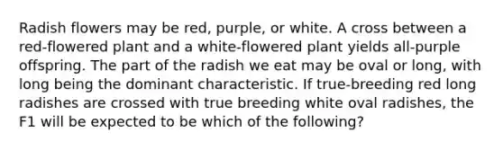 Radish flowers may be red, purple, or white. A cross between a red-flowered plant and a white-flowered plant yields all-purple offspring. The part of the radish we eat may be oval or long, with long being the dominant characteristic. If true-breeding red long radishes are crossed with true breeding white oval radishes, the F1 will be expected to be which of the following?