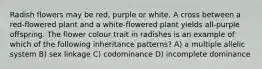 Radish flowers may be red, purple or white. A cross between a red-flowered plant and a white-flowered plant yields all-purple offspring. The flower colour trait in radishes is an example of which of the following inheritance patterns? A) a multiple allelic system B) sex linkage C) codominance D) incomplete dominance