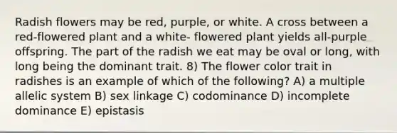 Radish flowers may be red, purple, or white. A cross between a red-flowered plant and a white- flowered plant yields all-purple offspring. The part of the radish we eat may be oval or long, with long being the dominant trait. 8) The flower color trait in radishes is an example of which of the following? A) a multiple allelic system B) sex linkage C) codominance D) incomplete dominance E) epistasis