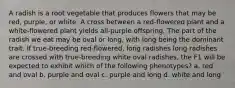 A radish is a root vegetable that produces flowers that may be red, purple, or white. A cross between a red-flowered plant and a white-flowered plant yields all-purple offspring. The part of the radish we eat may be oval or long, with long being the dominant trait. If true-breeding red-flowered, long radishes long radishes are crossed with true-breeding white oval radishes, the F1 will be expected to exhibit which of the following phenotypes? a. red and oval b. purple and oval c. purple and long d. white and long