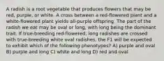 A radish is a root vegetable that produces flowers that may be red, purple, or white. A cross between a red-flowered plant and a white-flowered plant yields all-purple offspring. The part of the radish we eat may be oval or long, with long being the dominant trait. If true-breeding red-flowered, long radishes are crossed with true-breeding white oval radishes, the F1 will be expected to exhibit which of the following phenotypes? A) purple and oval B) purple and long C) white and long D) red and oval